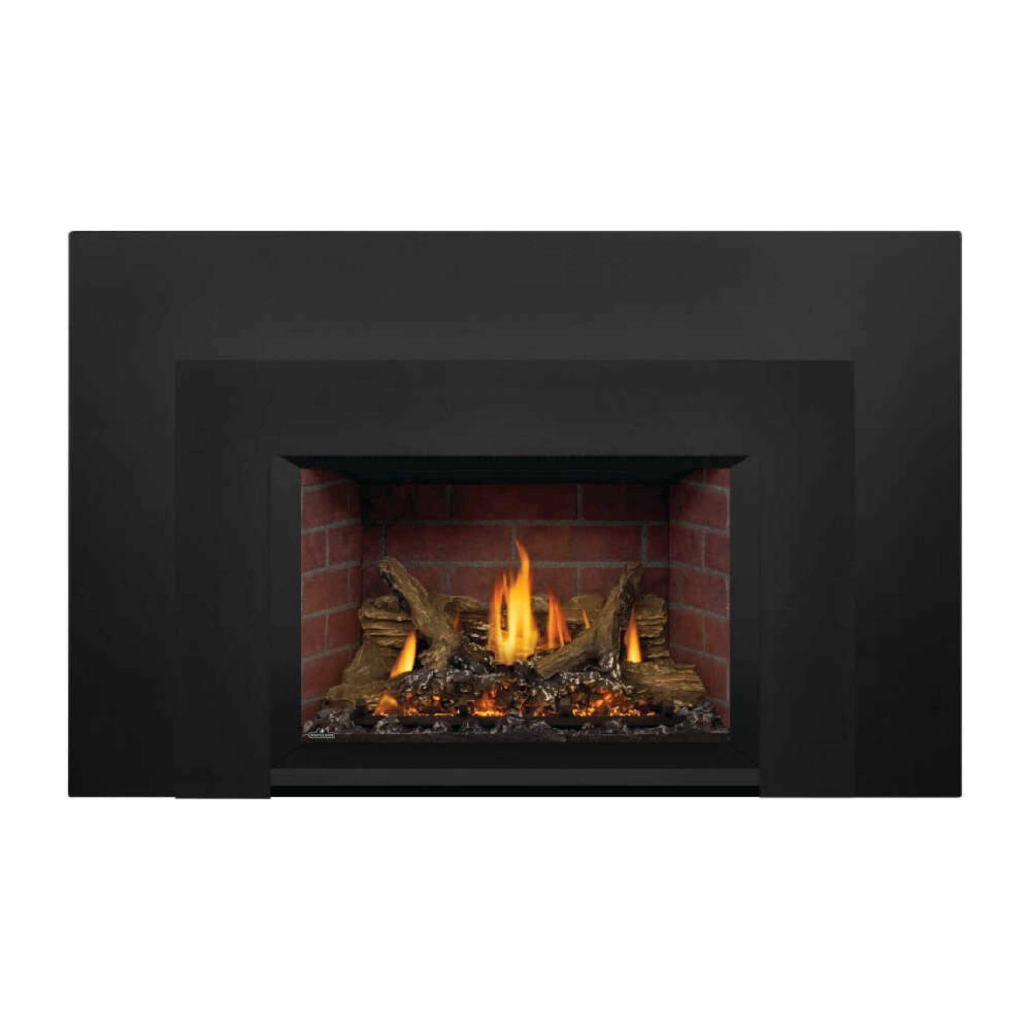 Napoleon Oakville X3/X4 Direct Vent Electronic Ignition Natural Gas Fireplace Insert (GDIX3N/4N-1)