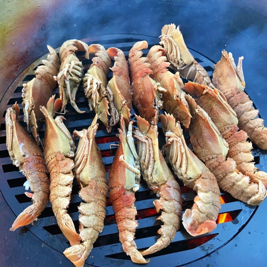 Grill Grate (10ӯ) For 20" Arteflame Grills