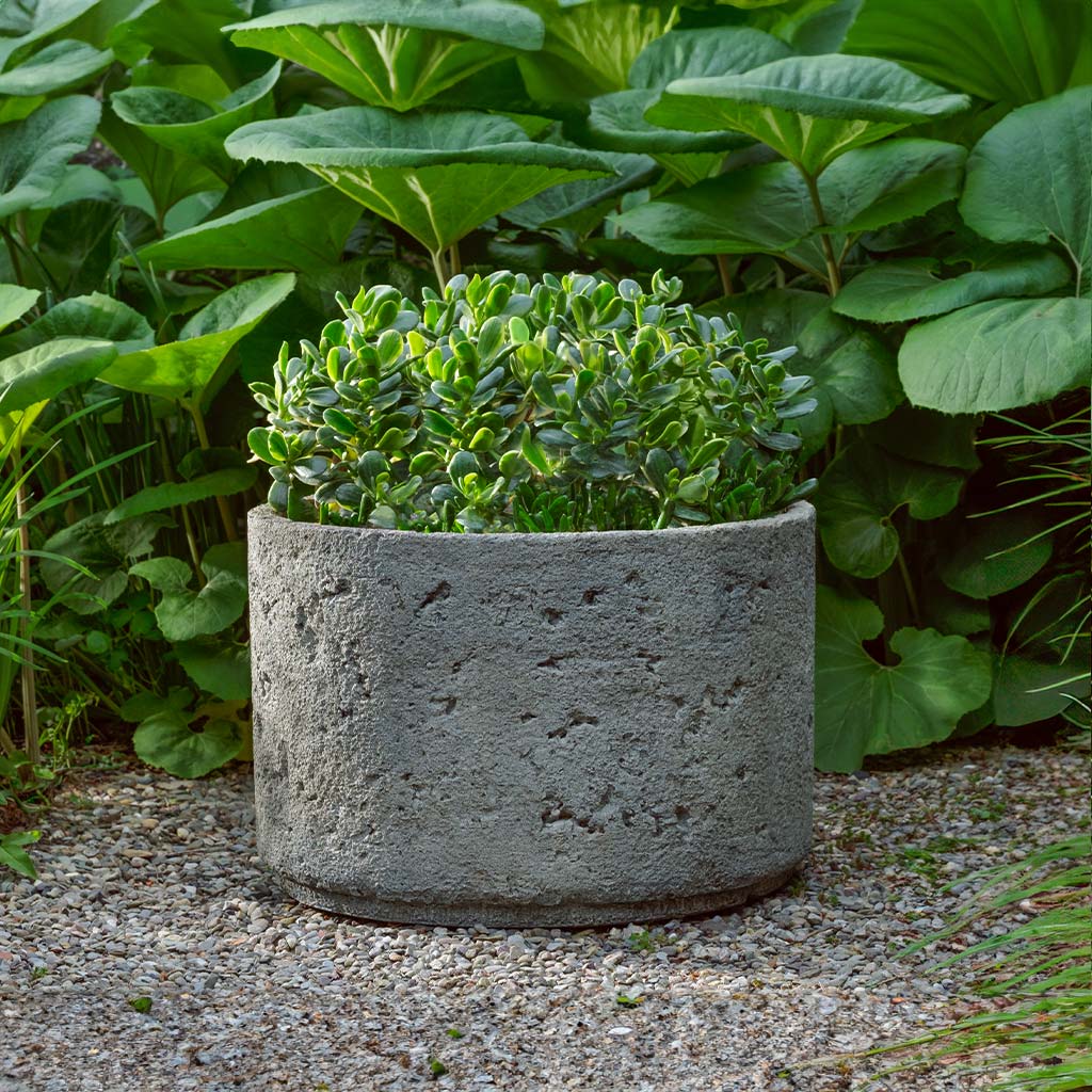 Campania Paros Planter - P-981