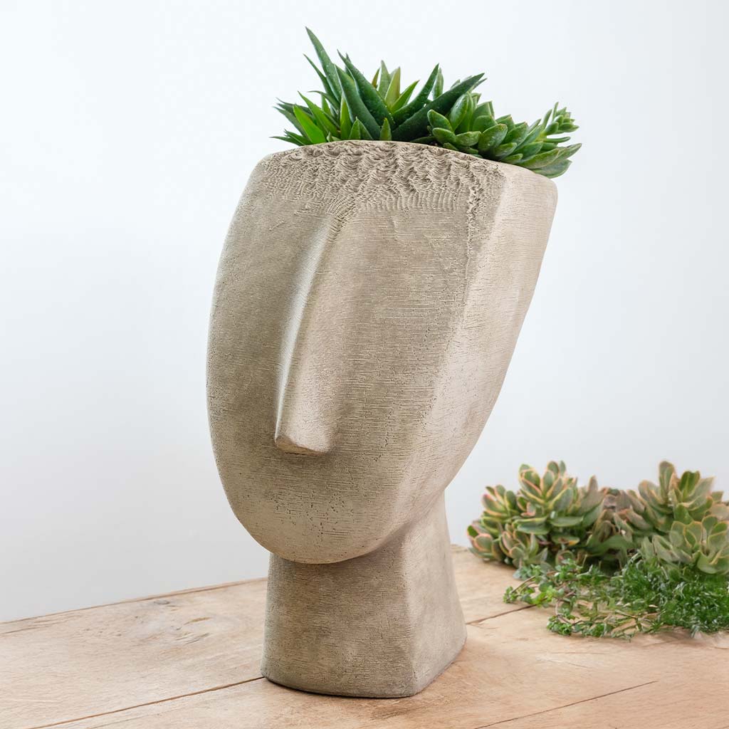 Campania Cycladic Head Planter - P-986