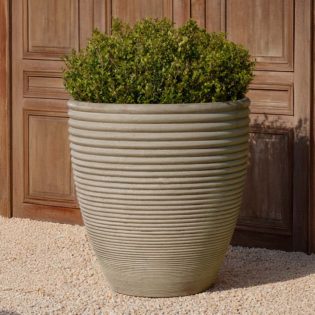 Campania Bibendum Planter - P-992