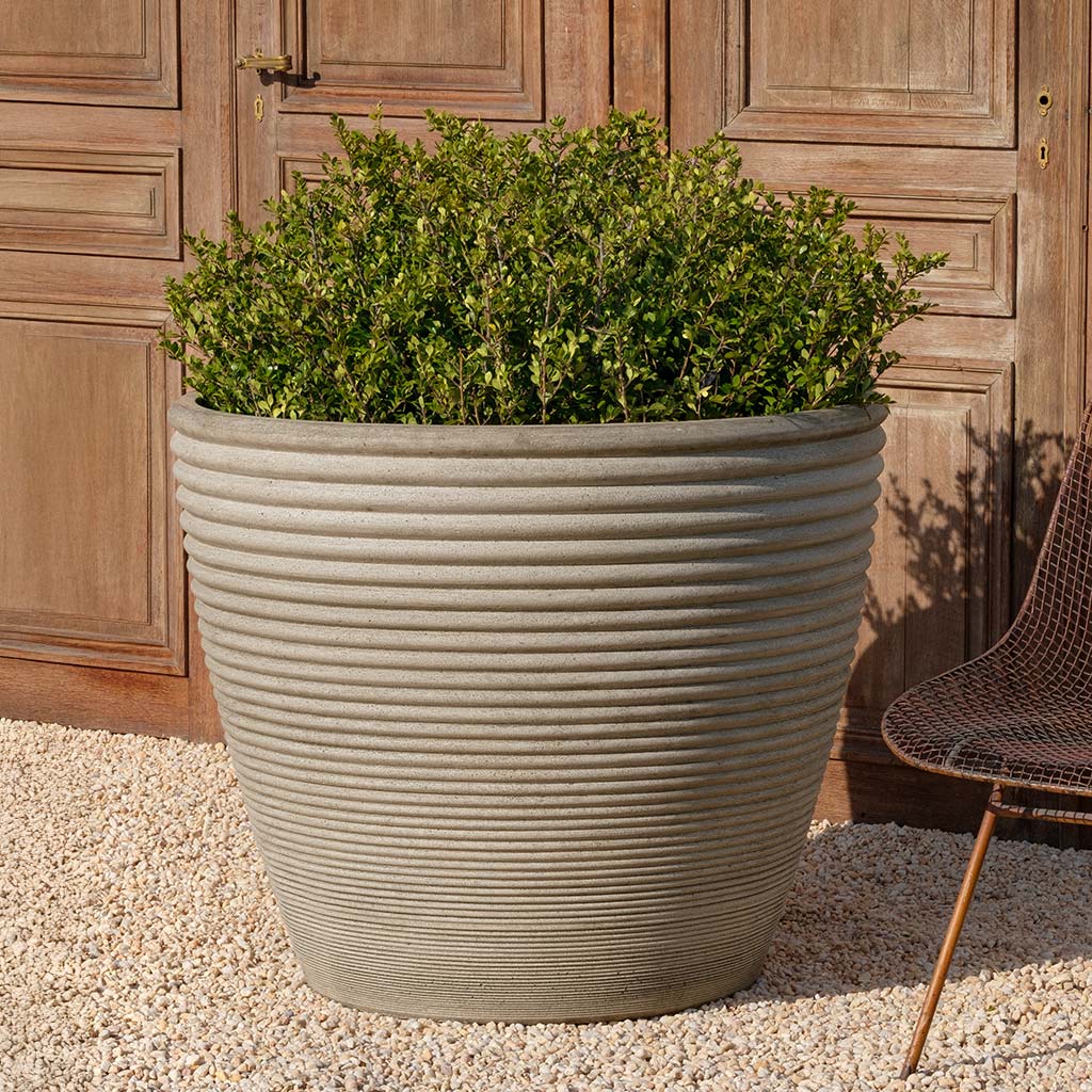 Campania Bibendum Planter - P-992