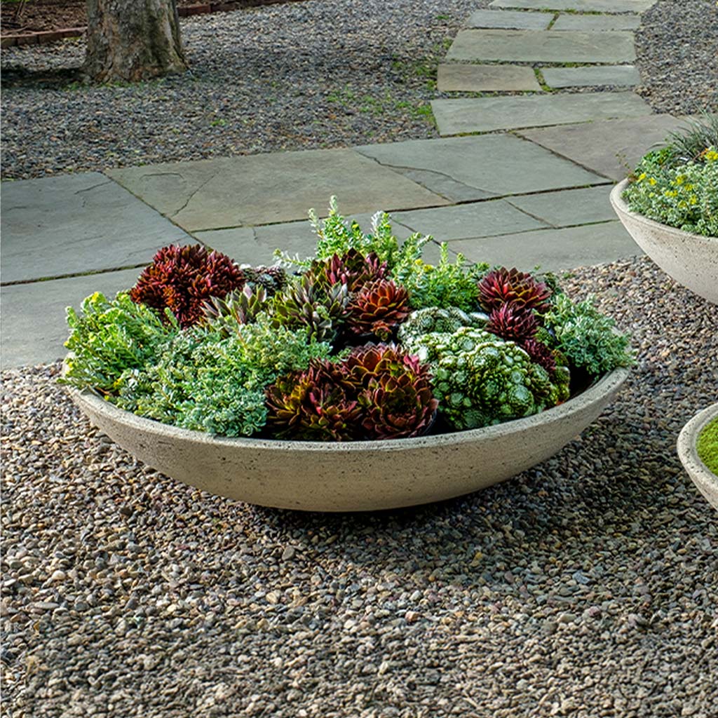 Campania Garden Bowl Planter - P-996