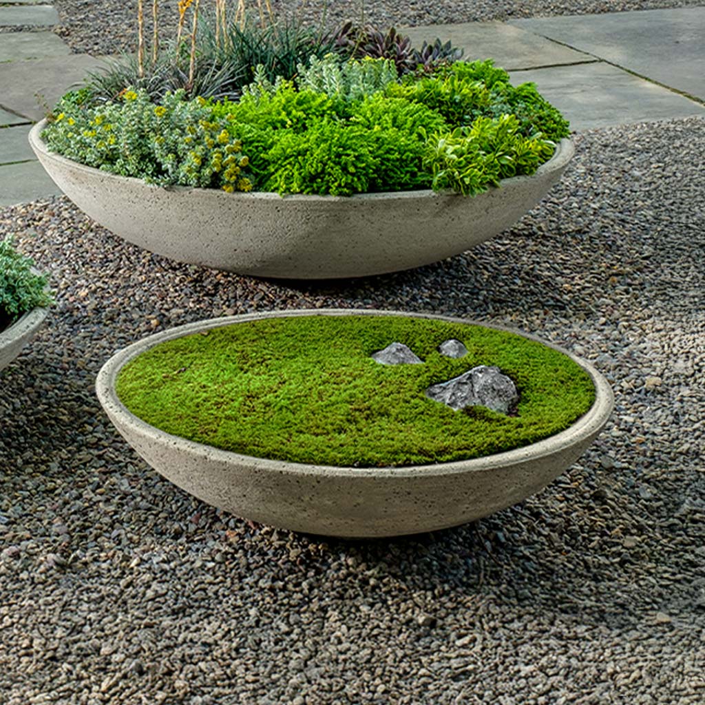 Campania Garden Bowl Planter - P-996