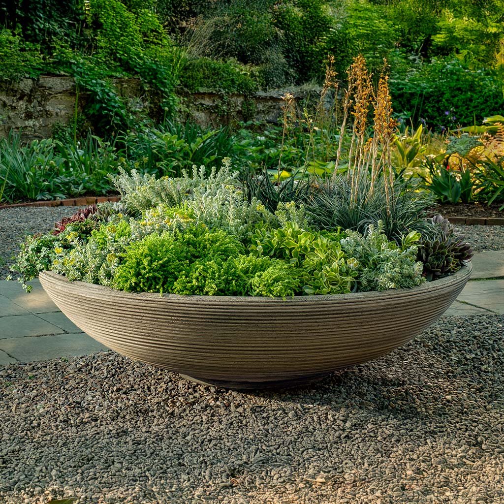 Campania Enso Bowl Planter - P-1000