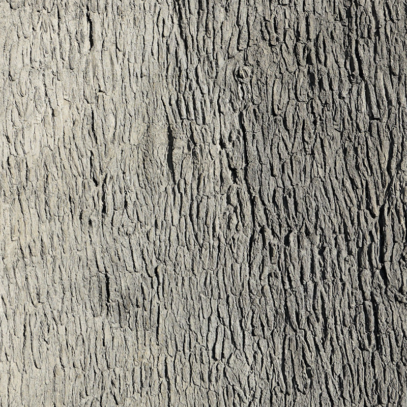 Universal Rocks Pecan Tree Bark 6' x 13' Wall Panel – PECAN-BARK-PANEL