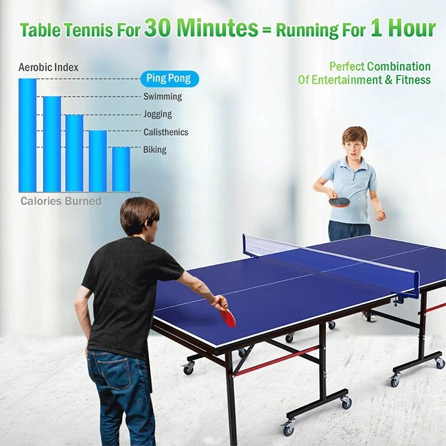Professional Foldable Portable Modern Ping Pong Table Tennis Table, 9FT
