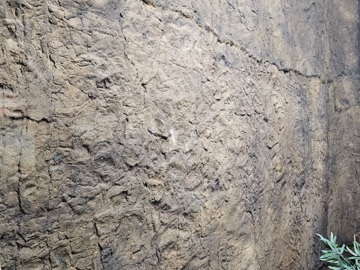 Universal Rocks Rocky Rock Wall 10' x 6' Panel – ROCKY-WALL-PANEL