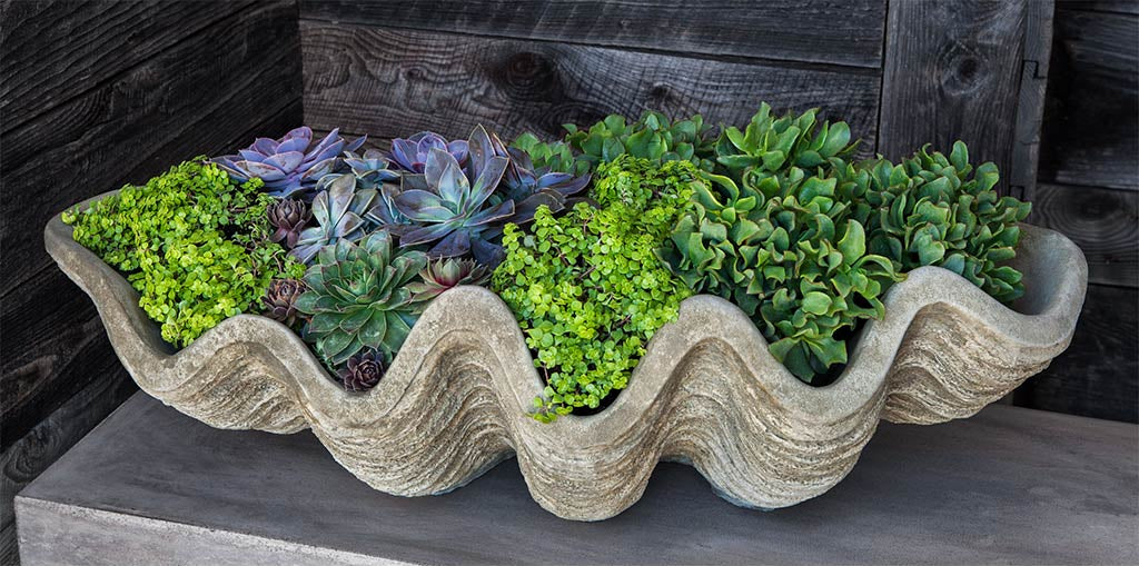 Campania South Seas Shell Planter, Large - W-106