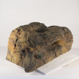 Universal Rocks Beachcomber Pool Kit - PWK-005