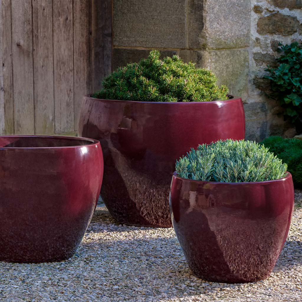 Campania Cabachon Planter, Set of 3 - 1000-1303