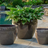 Campania Cabachon Planter, Set of 3 - 1000-1303