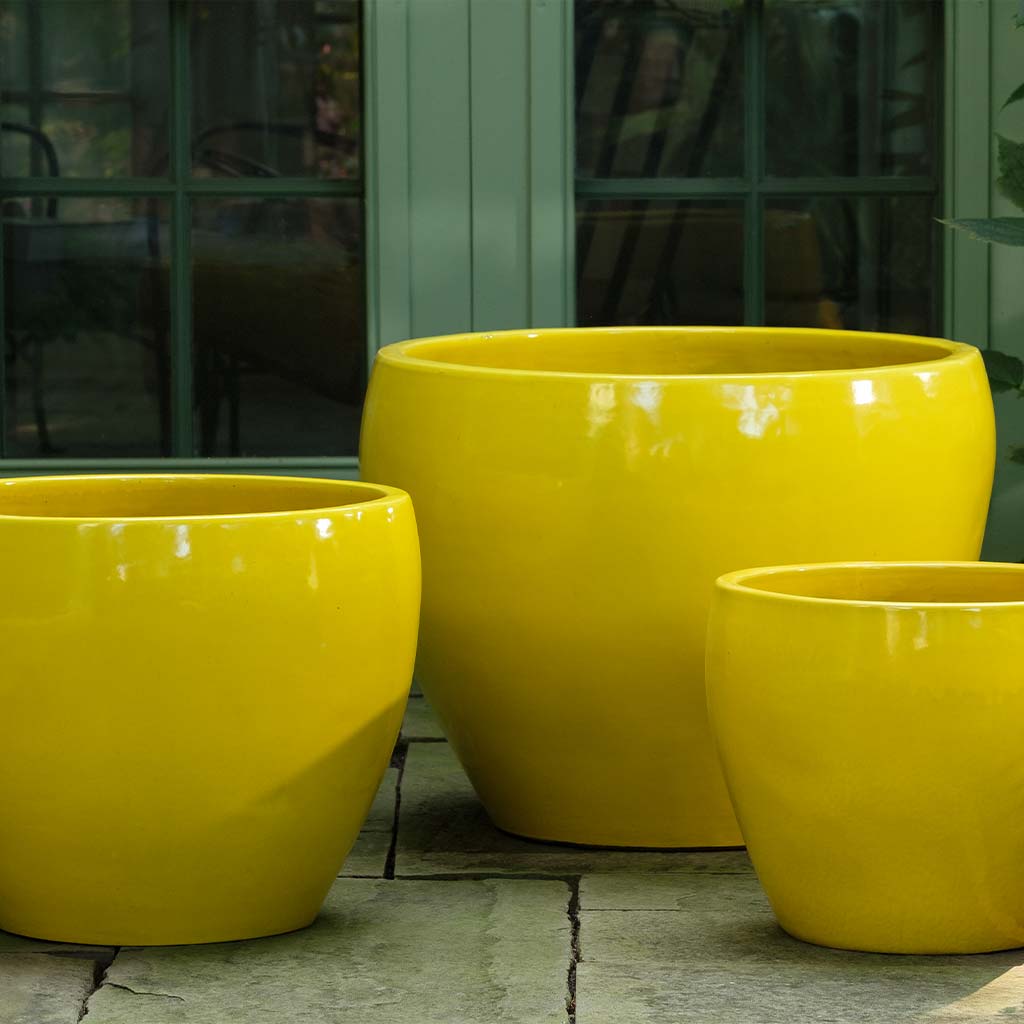 Campania Cabachon Planter, Set of 3 - 1000-1303