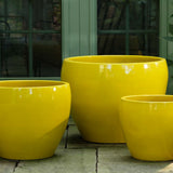 Campania Cabachon Planter, Set of 3 - 1000-1303