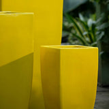 Campania Karis Planter, Set of 2 - 1001-1302