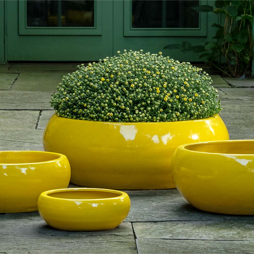 Campania Sasha Planter, Set of 4 - 1002-22504