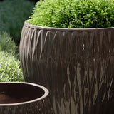 Campania Harlequin Planter, Set of 5 - 1005-22605