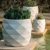 Campania Origami Planter, Set of 3 - 1006-1303
