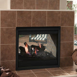 Majestic Twilight 36" Modern Indoor/Outdoor See-Through Gas Fireplace