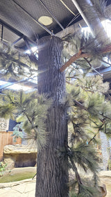 Universal Rocks Pecan Tree Bark 6' x 13' Wall Panel – PECAN-BARK-PANEL