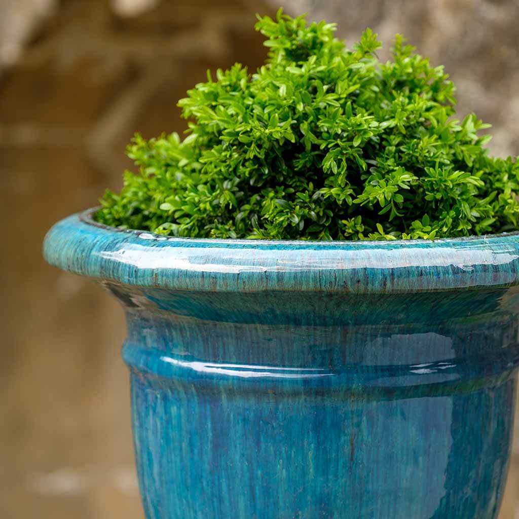 Campania Beldon Urn Planter - 350162-0101