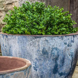 Campania Cassia Planter, Set of 4- 5002-18004
