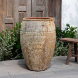 Campania Catania Jar Planter - 5038-18201