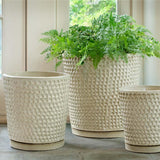 Campania I/O Coin Pot Planter, Set of 3 - 5313-23903