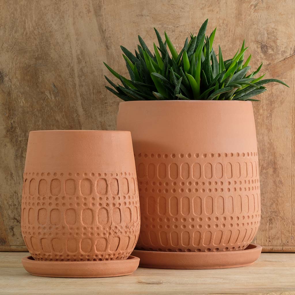 Campania Mojave Planter - Thumbnail 2