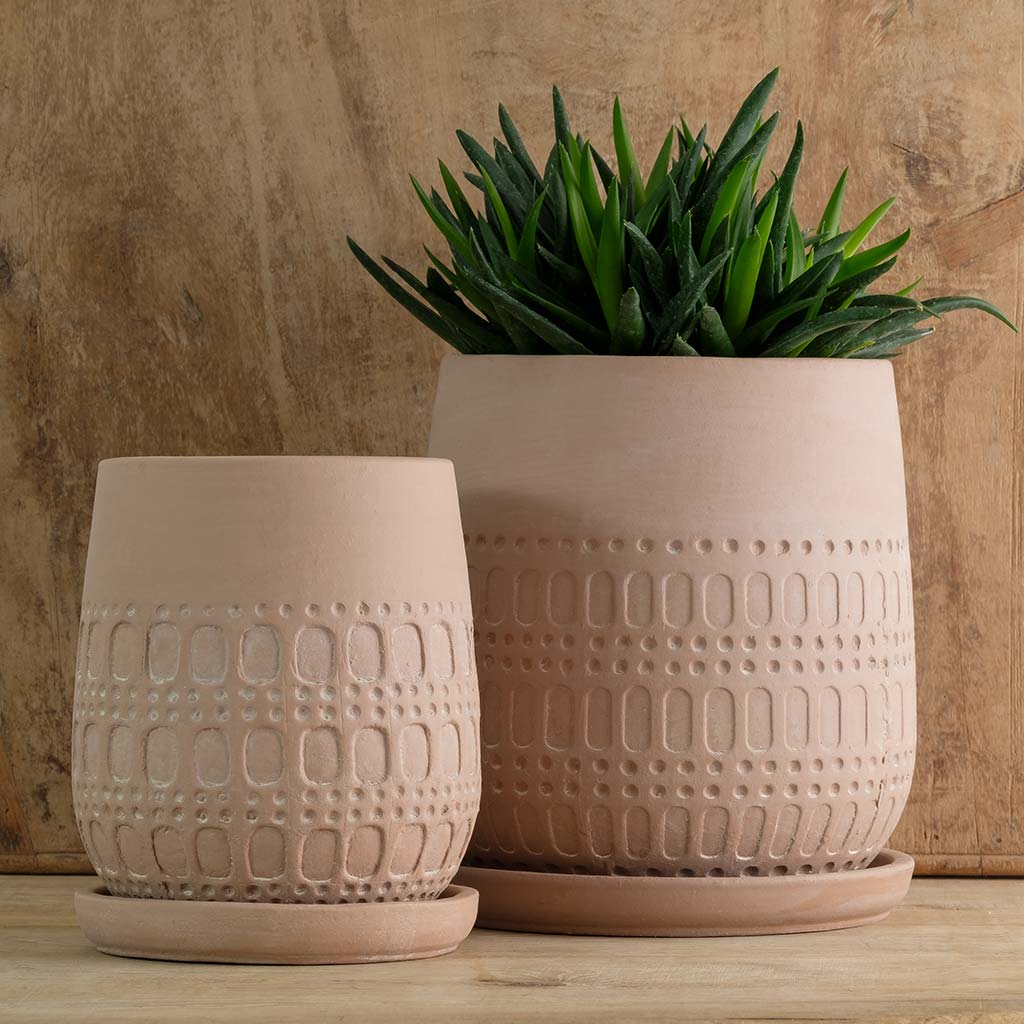 Campania Mojave Planter - Thumbnail 4