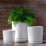 Campania I/O 2 Cylinder Planter, Set of 3 - 5319-1903
