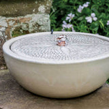 Campania Sand Dollar Fountain - 5602-0901