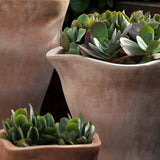 Campania Foxglove Tall Planter, Set of 3 - 6016-2403