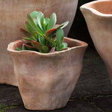 Campania Foxglove Planter, Set of 3 - 6017-2403