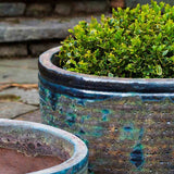 Campania Aspara Planter, Set of 4 - 6040-4204