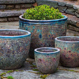 Campania Aspara Planter, Set of 4 - 6040-4204
