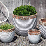 Campania Nevis Planter, Set of 4 - 6063-14204