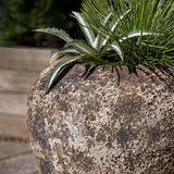 Campania Cavaillon Jar Planter - 6101-11801