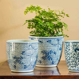 Campania Cylinder Planter, Set of 6 - 6180-13006
