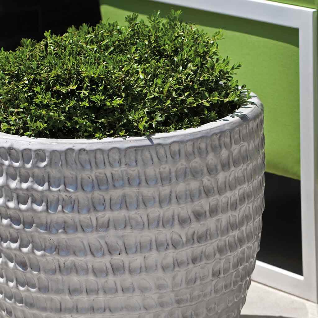 Campania Dimple Planter, Set of 3 - 6280-0103