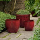 Campania Rafi Planter, Set of 3 - 6394-24903