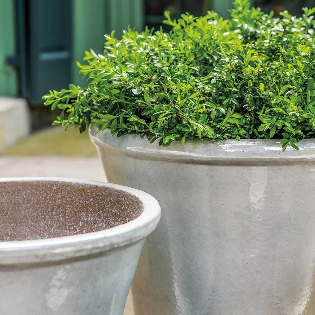 Campania Valette Planter, Set of 4 - 6395-24904