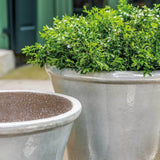 Campania Valette Planter, Set of 4 - 6395-24904