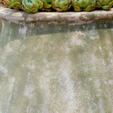 Campania Valensole Jar Planter - 6485-2401