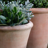 Campania Cortona Planter, Small Set of 3 - 6490-2403
