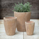 Campania Colburn Planter, Set of 3 - 6491-2403