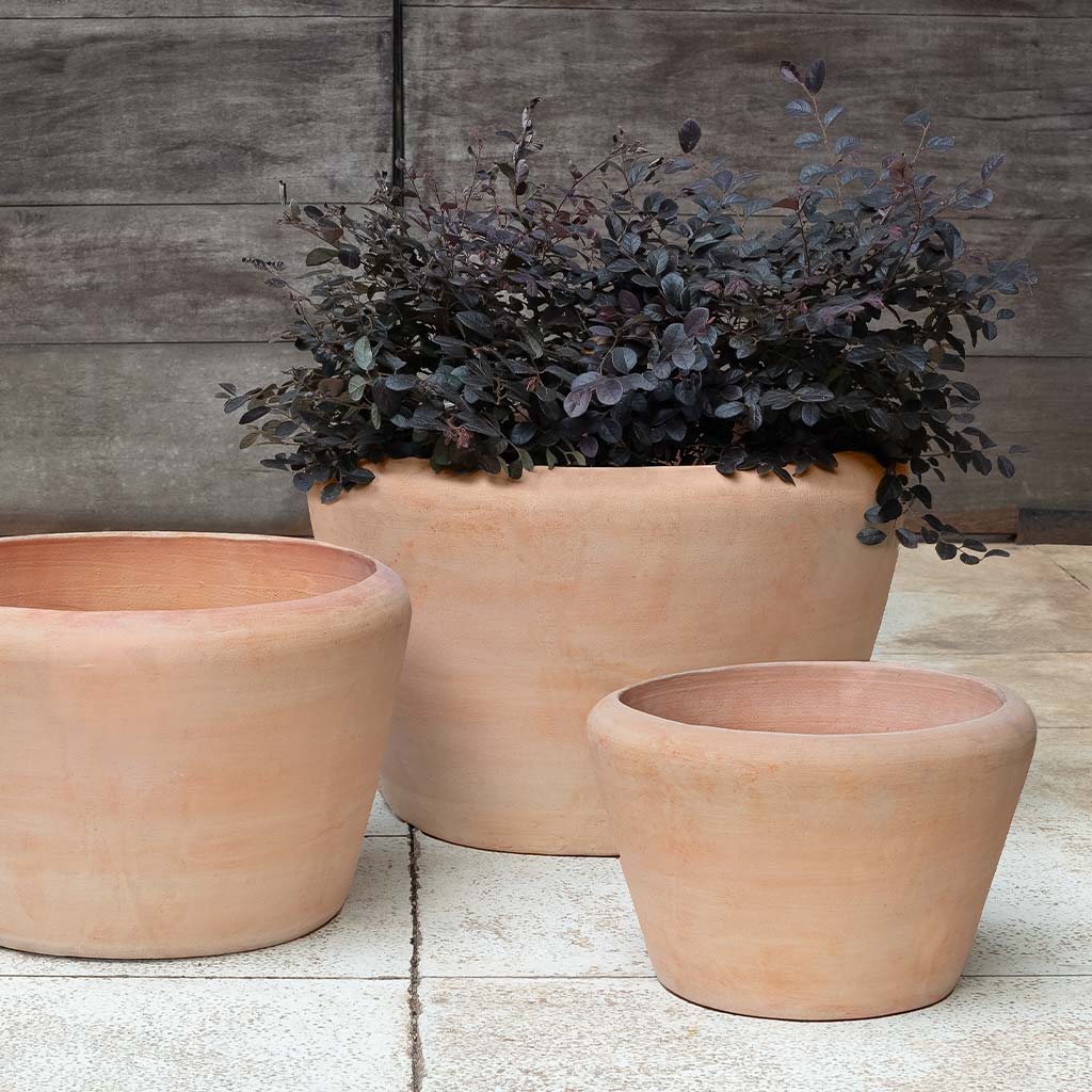 Campania Whitby Planter,  Set of 3 - 6492-2403