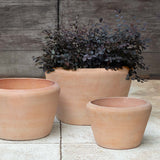 Campania Whitby Planter,  Set of 3 - 6492-2403