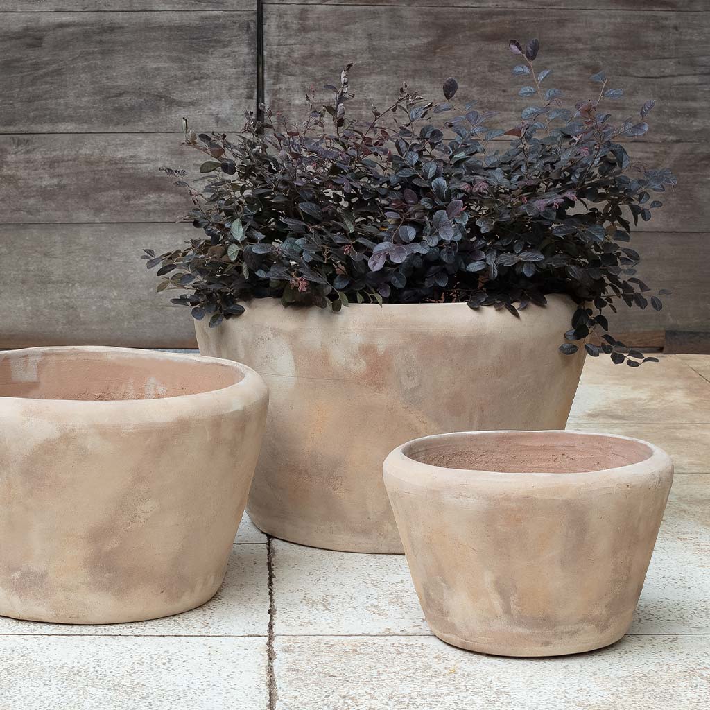 Campania Whitby Planter,  Set of 3 - 6492-2403