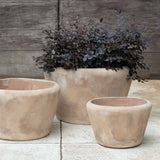 Campania Whitby Planter,  Set of 3 - 6492-2403